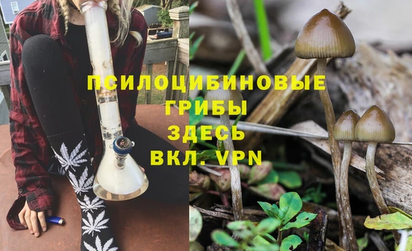 винт Алзамай