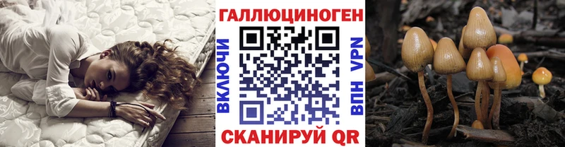 Псилоцибиновые грибы Psilocybe  ОМГ ОМГ ссылки  Астрахань  наркотики 
